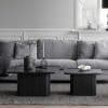 Wohnzimmer Tisch Set in Schwarz quadratischer Tischplatte (zweiteilig)